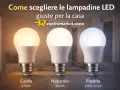 Tre tipi di lampade LED: calda (2700K), naturale (4000K) e fredda (5000-650K), per scegliere l'illuminazione giusta per la casa.