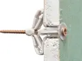 Un tassello Fisher e una vite inseriti in un muro di cartongesso. Illustra come mettere fisher nel muro per un fissaggio sicuro.