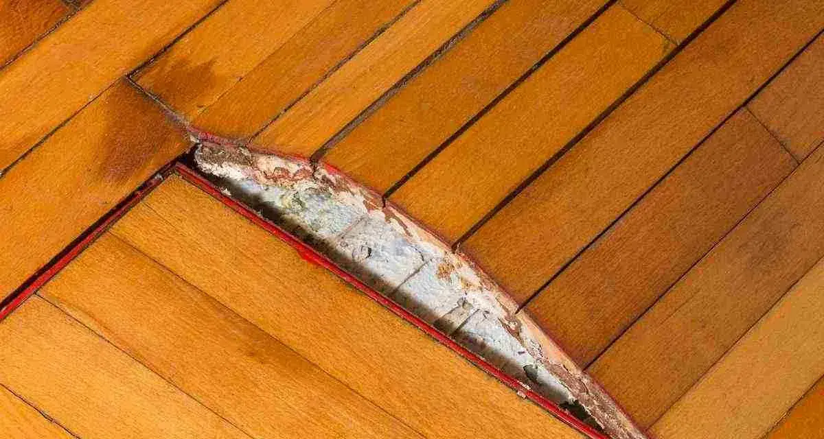 Parquet gonfio e danneggiato, forse per un incidente con il ferro da stiro. Il legno si è sollevato e la sottostruttura è visibile.