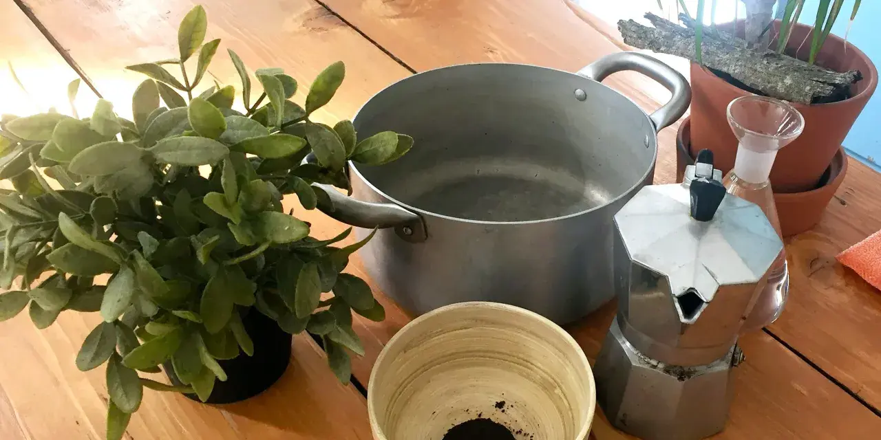 Preparativi per come invecchiare il legno con il caffè: moka, pentola, ciotola con fondi di caffè, pianta e un vaporizzatore.