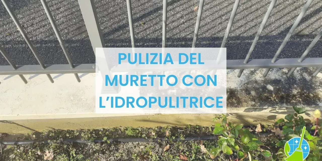 Pulizia del muretto esterno con idropulitrice: un'operazione efficace per rimuovere sporco e muschio, ridando vita alle superfici.