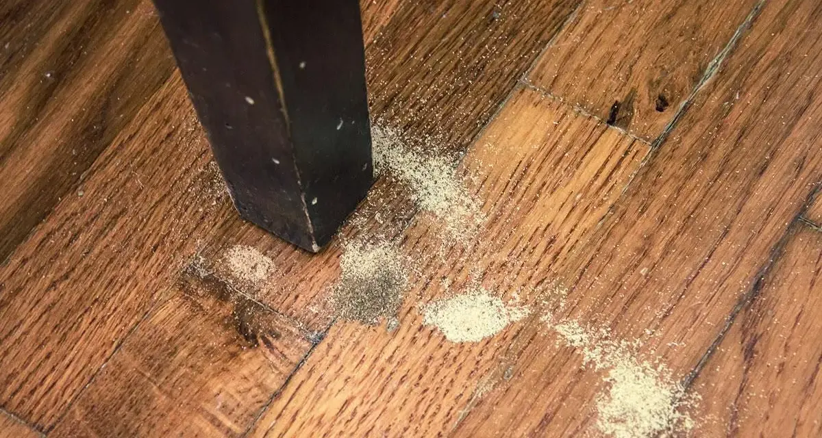 Polvere chiara sul parquet vicino a una gamba di mobile scuro, segno di possibili insetti del legno bianchi.