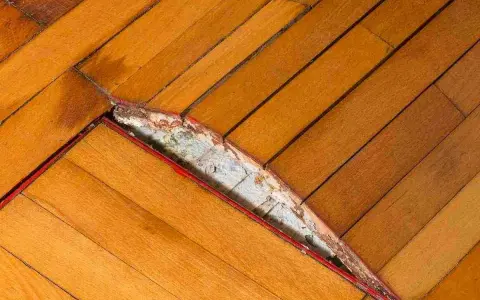 Parquet gonfio e danneggiato, forse per un incidente con il ferro da stiro. Il legno si è sollevato e la sottostruttura è visibile.
