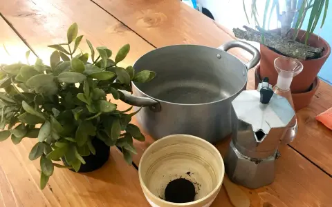 Preparativi per come invecchiare il legno con il caffè: moka, pentola, ciotola con fondi di caffè, pianta e un vaporizzatore.