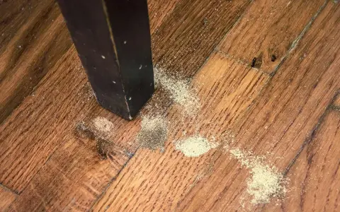 Polvere chiara sul parquet vicino a una gamba di mobile scuro, segno di possibili insetti del legno bianchi.