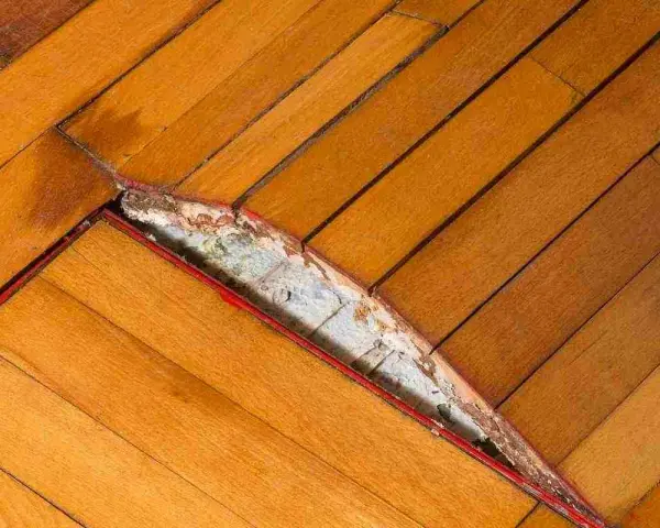 Parquet gonfio e danneggiato, forse per un incidente con il ferro da stiro. Il legno si è sollevato e la sottostruttura è visibile.