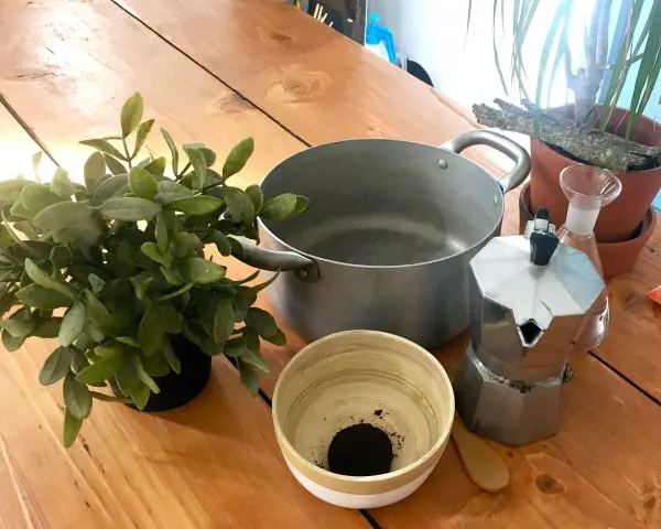 Preparativi per come invecchiare il legno con il caffè: moka, pentola, ciotola con fondi di caffè, pianta e un vaporizzatore.