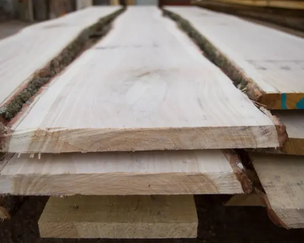 Tavole di legno grezzo impilate, con la corteccia ancora presente, pronte per il processo di stagionatura che ne assicura la durabilità.
