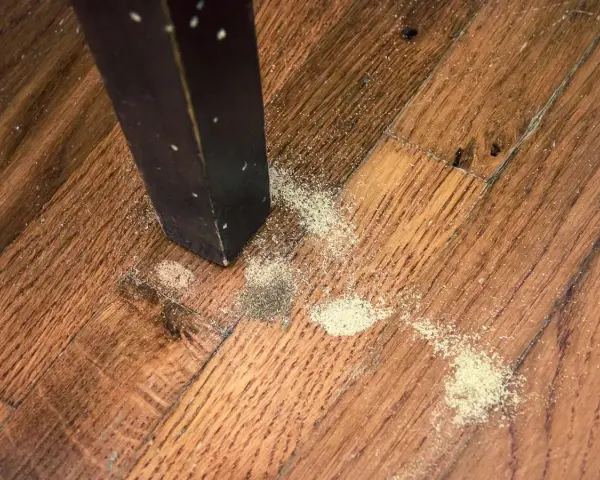 Polvere chiara sul parquet vicino a una gamba di mobile scuro, segno di possibili insetti del legno bianchi.