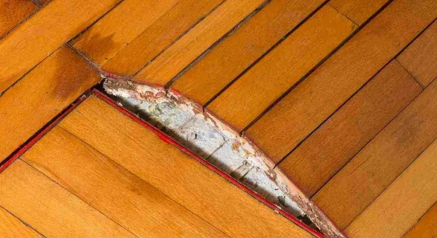 Parquet gonfio e danneggiato, forse per un incidente con il ferro da stiro. Il legno si è sollevato e la sottostruttura è visibile.