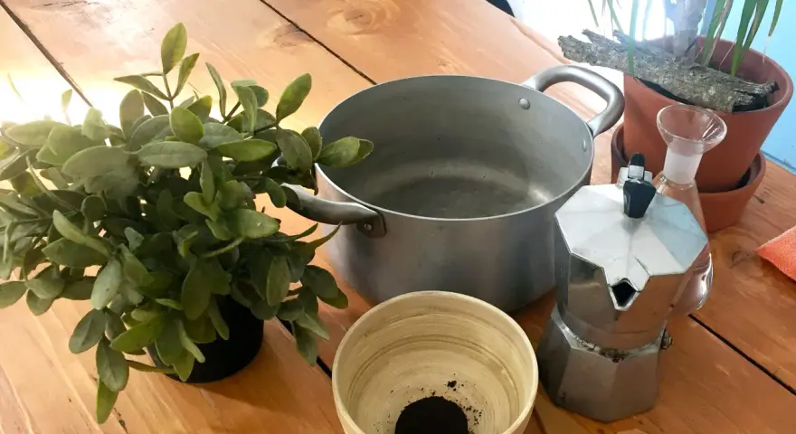 Preparativi per come invecchiare il legno con il caffè: moka, pentola, ciotola con fondi di caffè, pianta e un vaporizzatore.